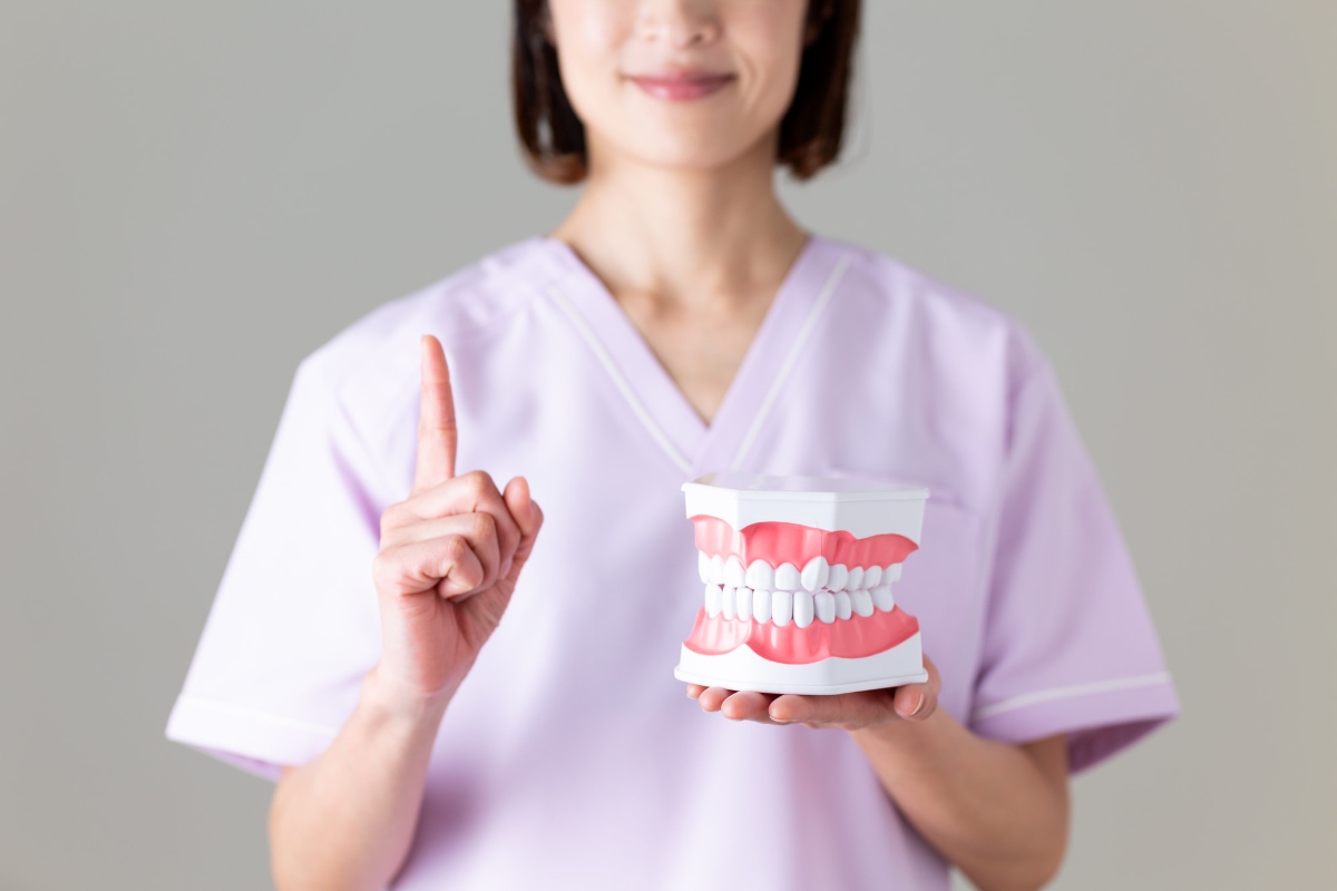 部分入れ歯について歯の模型を手に説明する歯科医